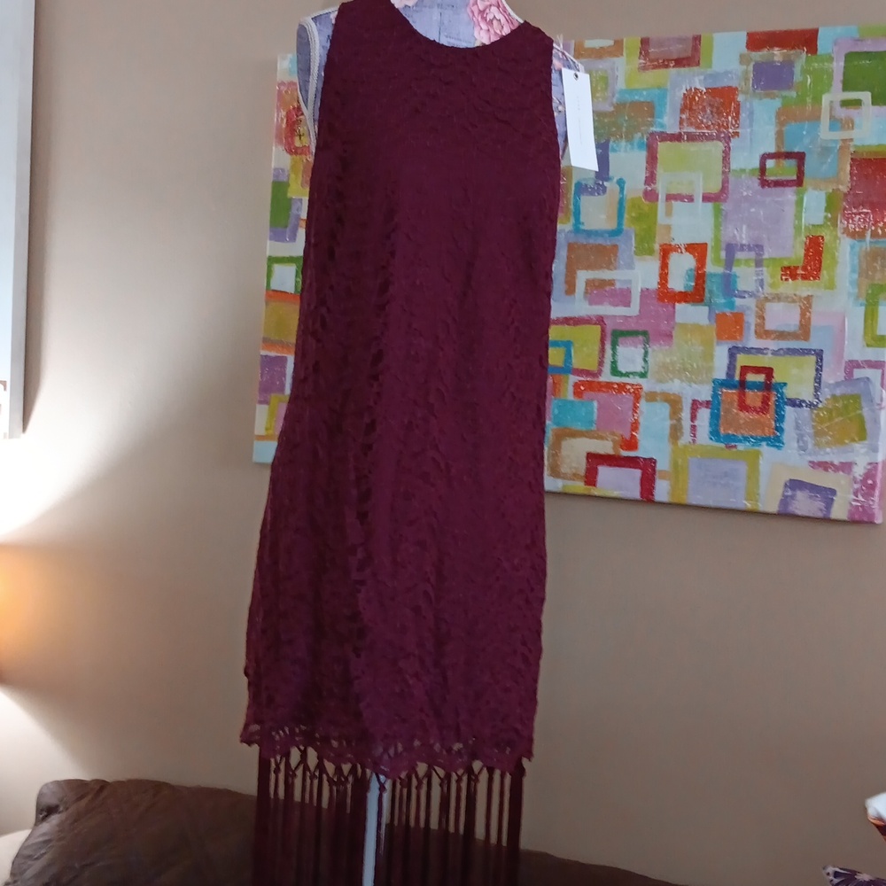 Brand New LUSH FLORAL LACE FRINGE PARTY DRESS-S